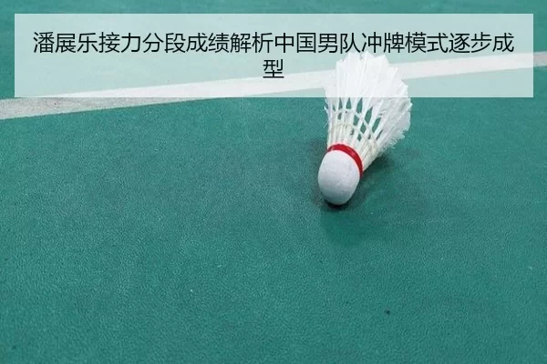 潘展乐接力分段成绩解析中国男队冲牌模式逐步成型 | worldcup